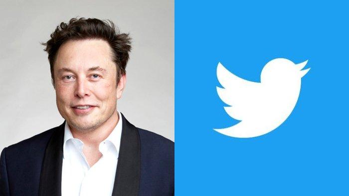 Elon Musk Tunda Kembali Peluncuran Twitter Blue Hingga 29 November 5
