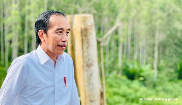 Jokowi Dianggap Wujudkan Cita-Cita Soekarno Melalui IKN 3