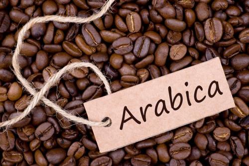 Jenis Biji Kopi dan Perbedaannya: Arabica vs Robusta 2